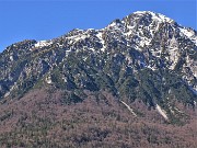 Spettacolo di fiori ai prati della Pigolotta di Valtorta - 8 aprile 2023  - FOTOGALLERY